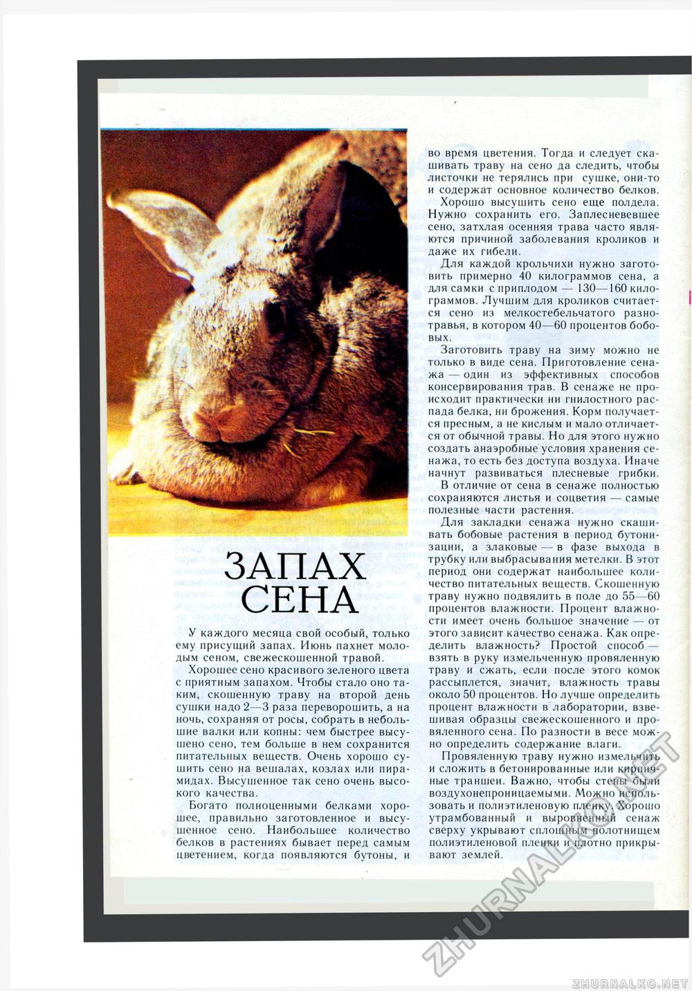 Юный Натуралист 1985-06, страница 41