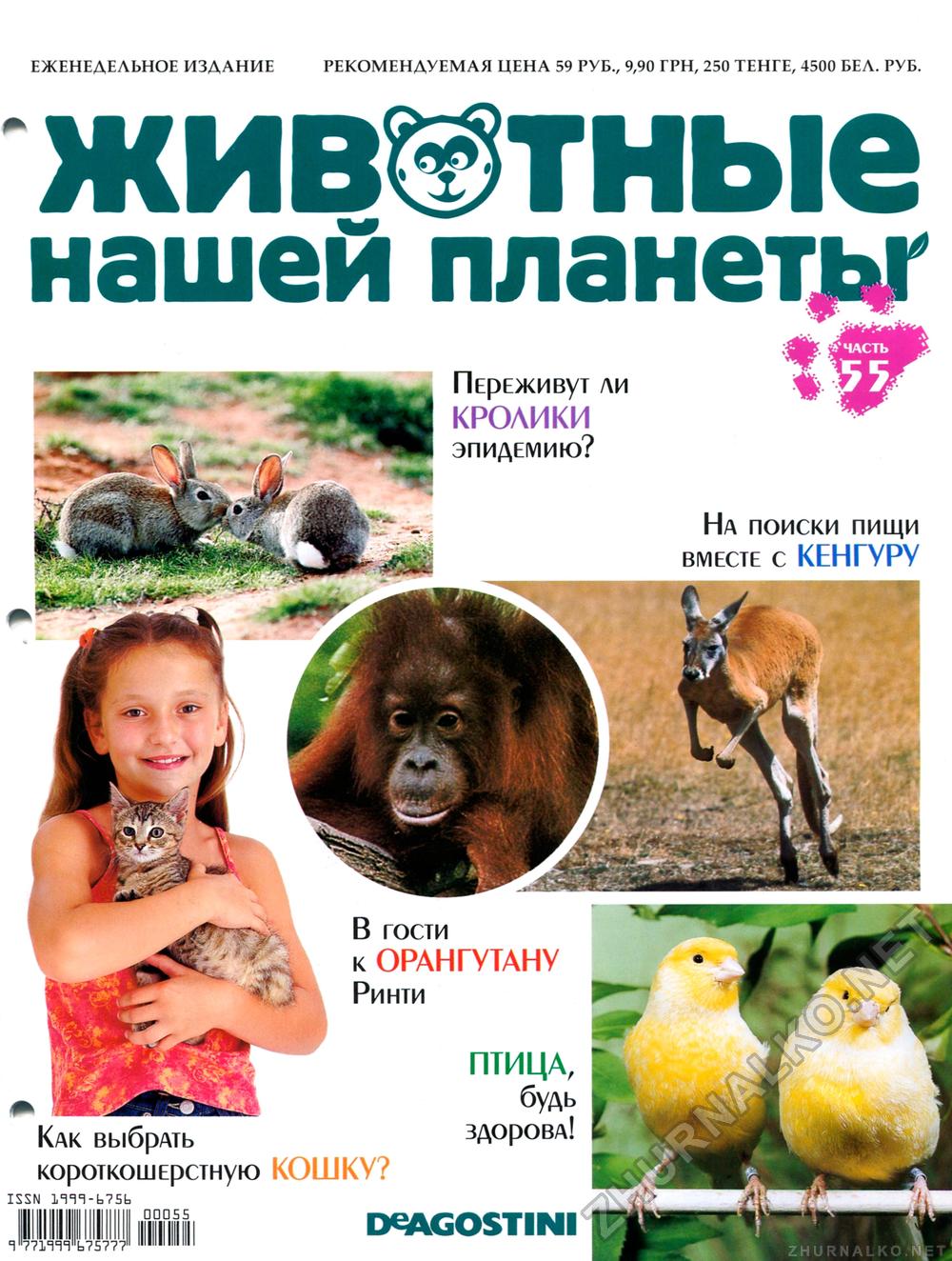 Обложки журналов про животных дизайн
