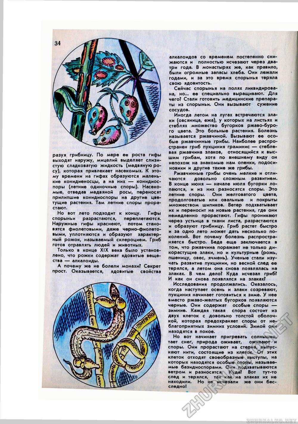 Юный Натуралист 1977-08, страница 36