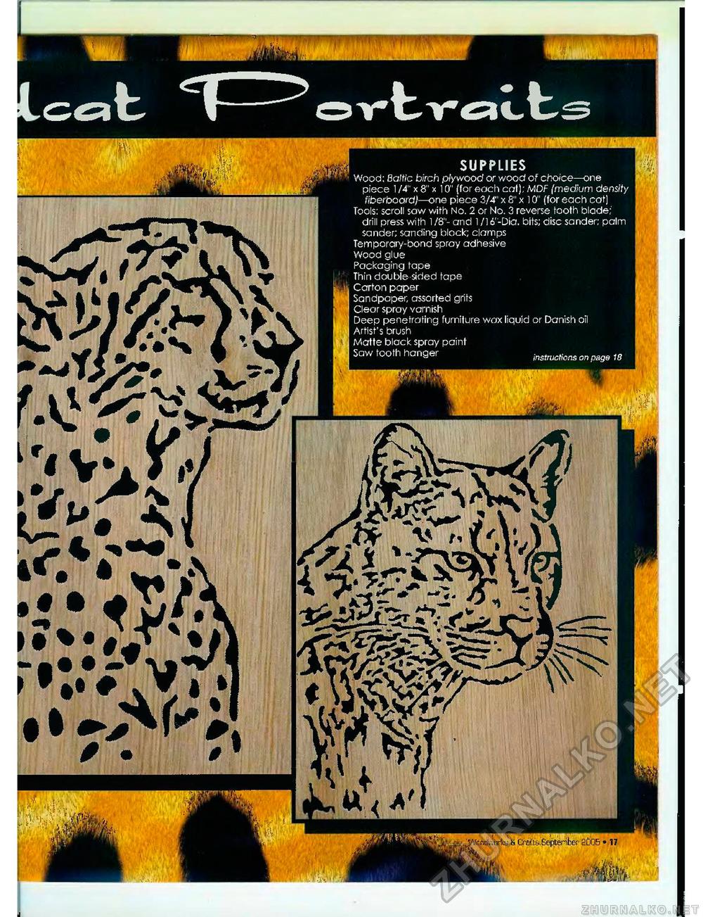 Creative Woodworks & crafts 2005-09,  17