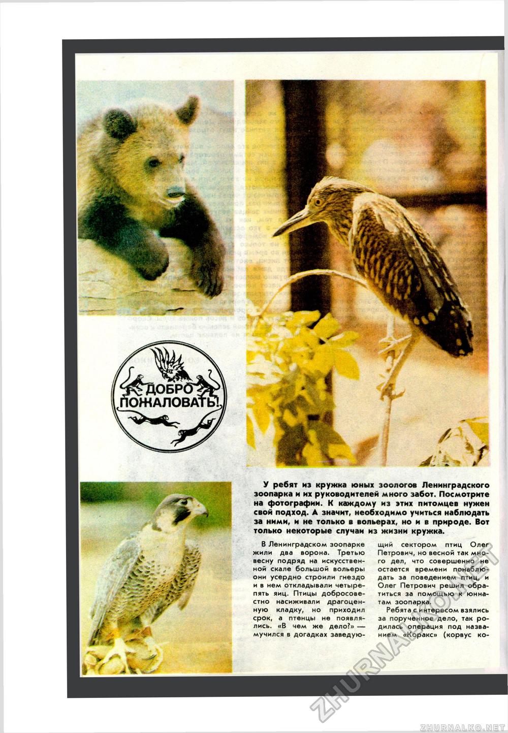 Юный Натуралист 1984-05, страница 28