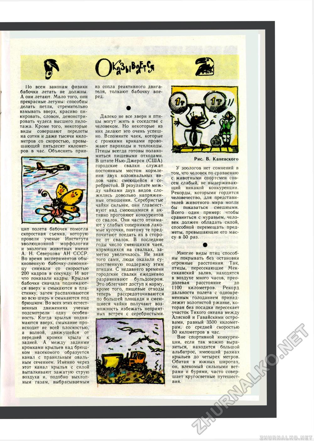 Юный Натуралист 1984-05, страница 37