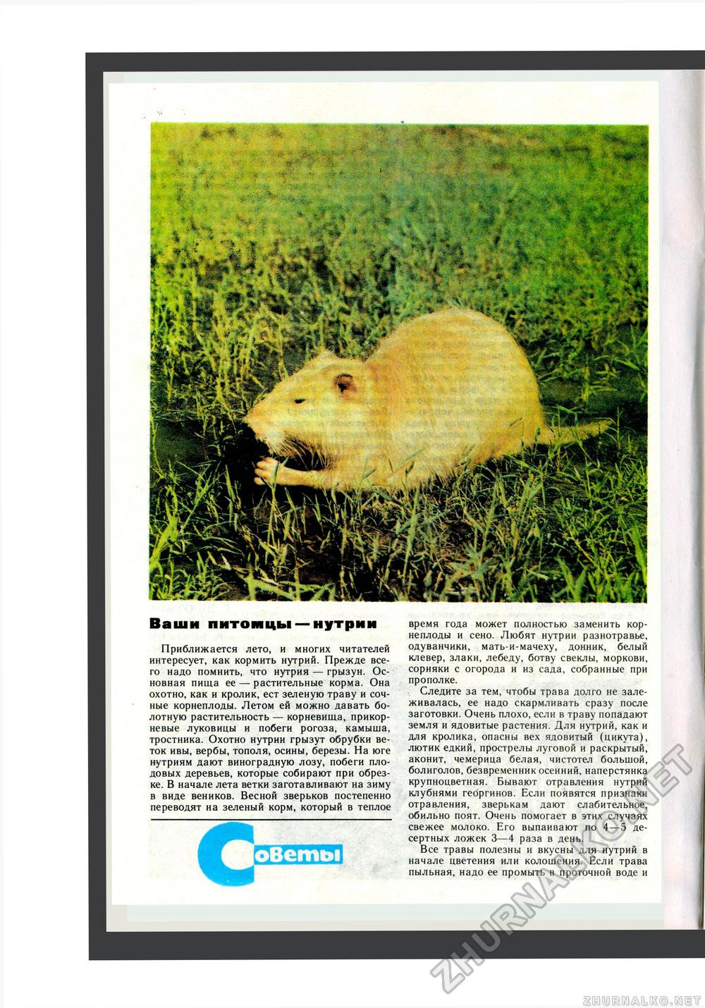 Юный Натуралист 1984-05, страница 42