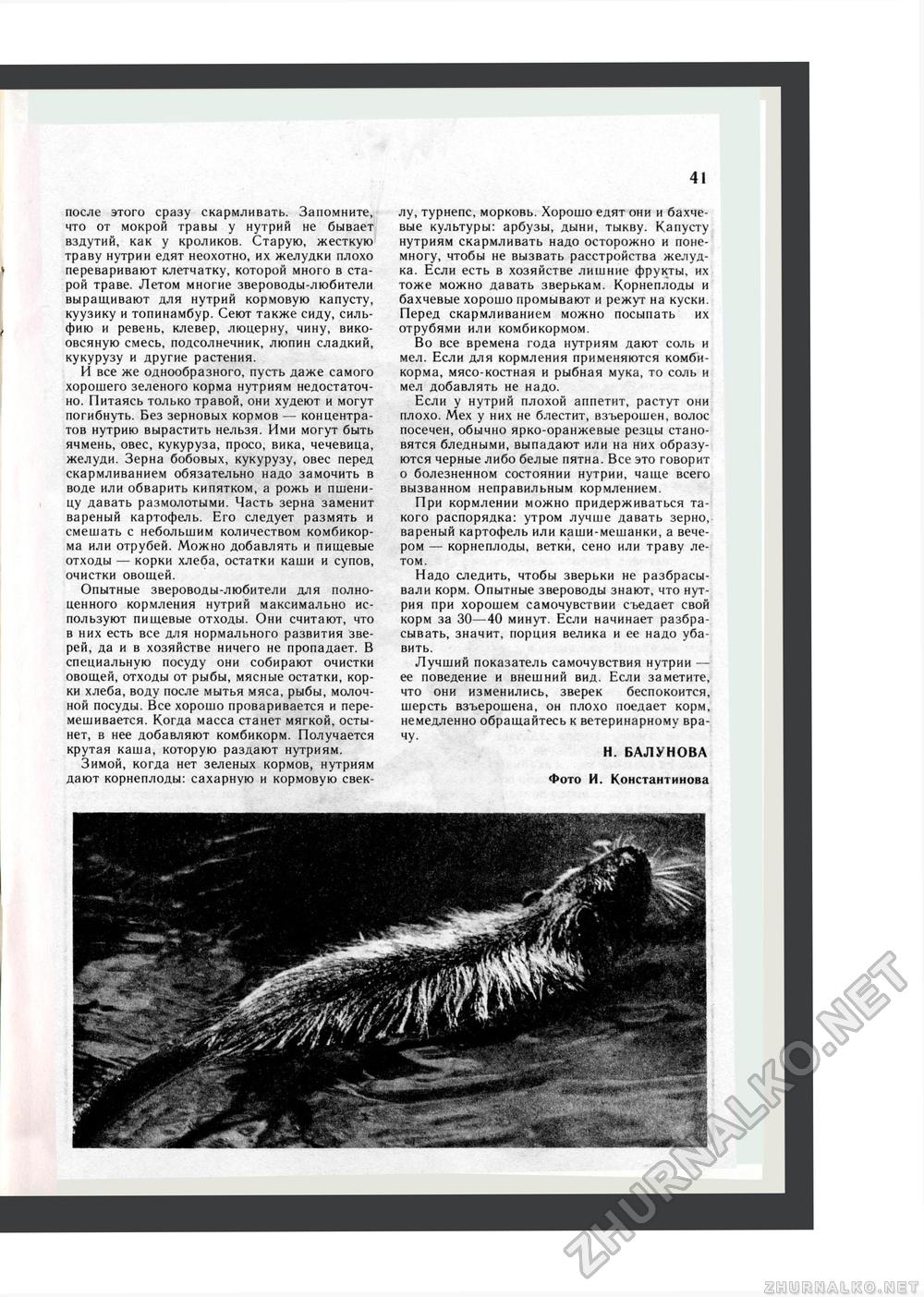 Юный Натуралист 1984-05, страница 43
