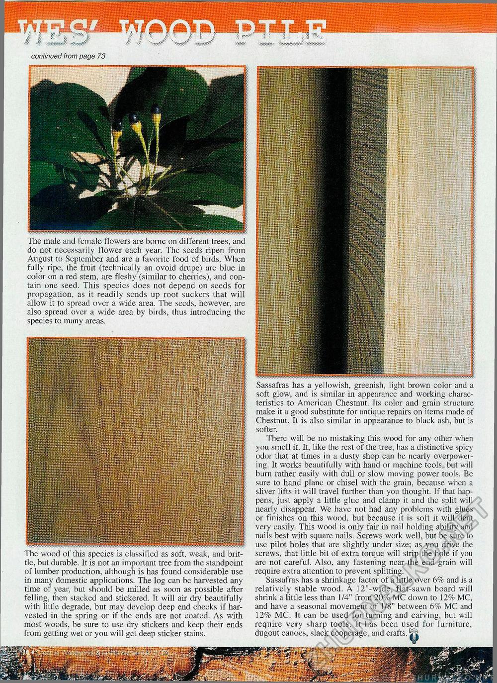 Creative Woodworks & crafts 2004-09,  74