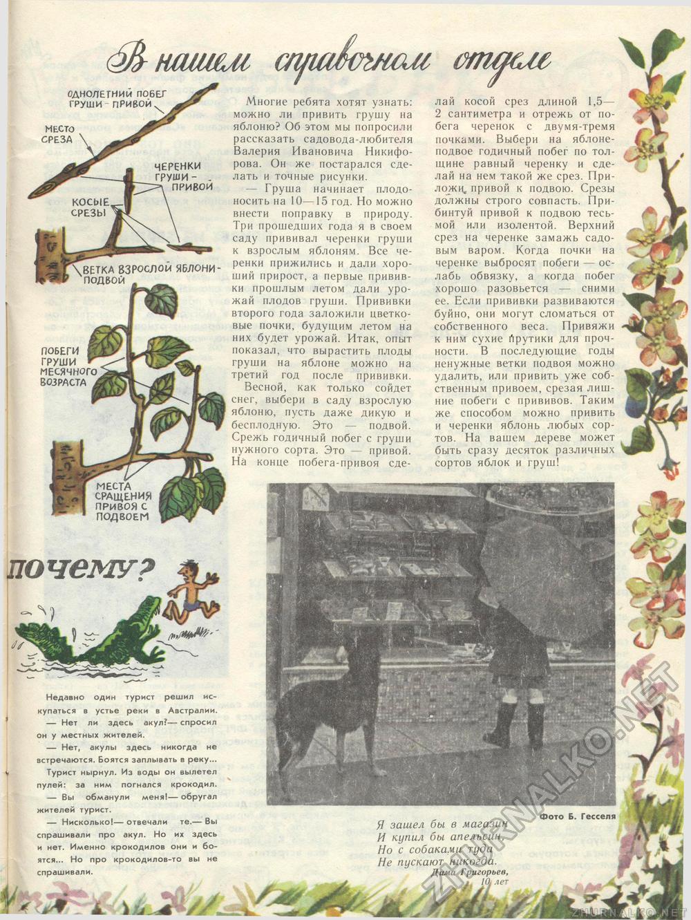 Костёр 1985-05, страница 51