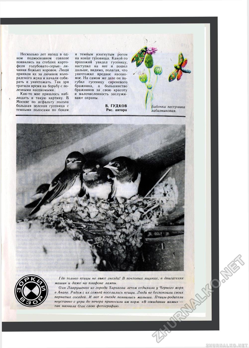 Юный Натуралист 1983-07, страница 11