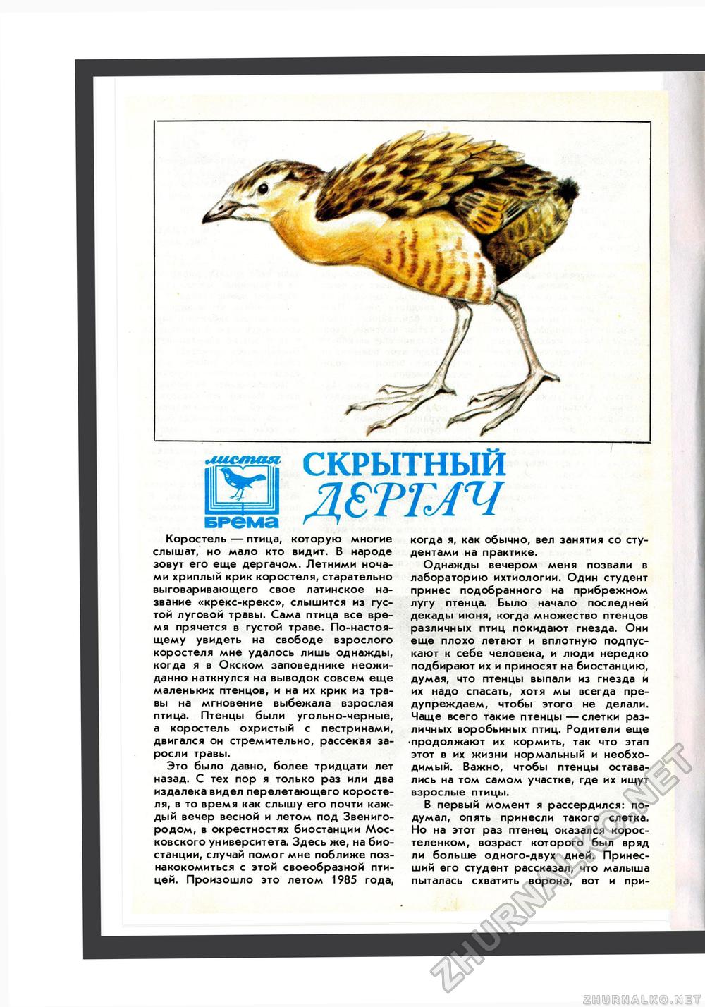 Юный Натуралист 1987-07, страница 16