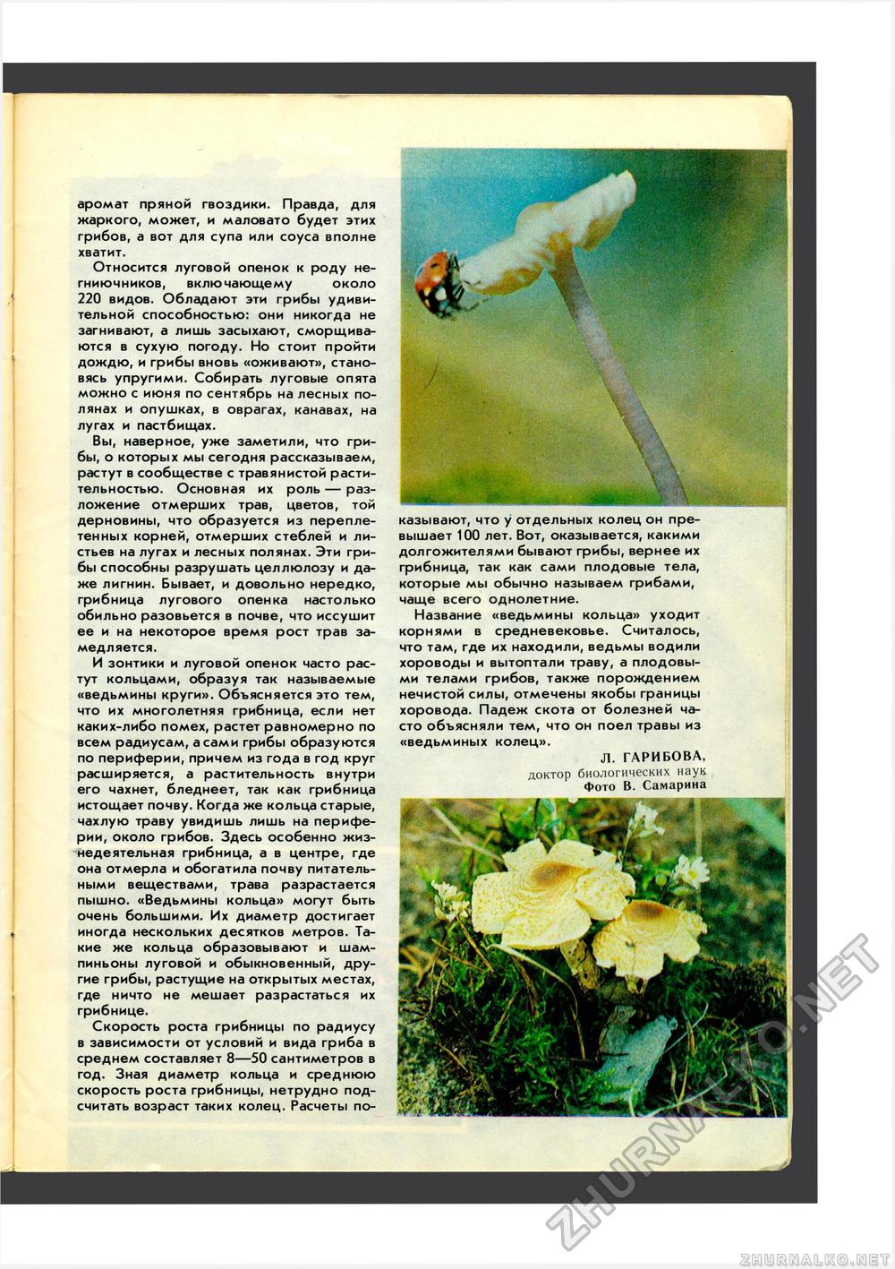 Юный Натуралист 1987-07, страница 38