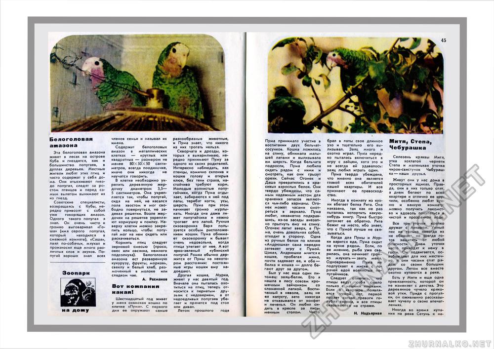 Юный Натуралист 1973-11, страница 29