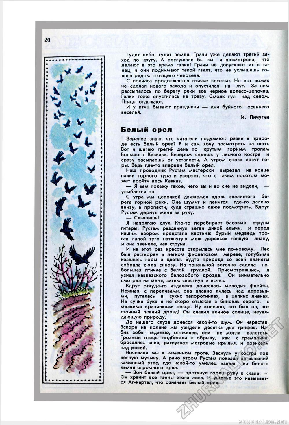 Юный Натуралист 1974-10, страница 21