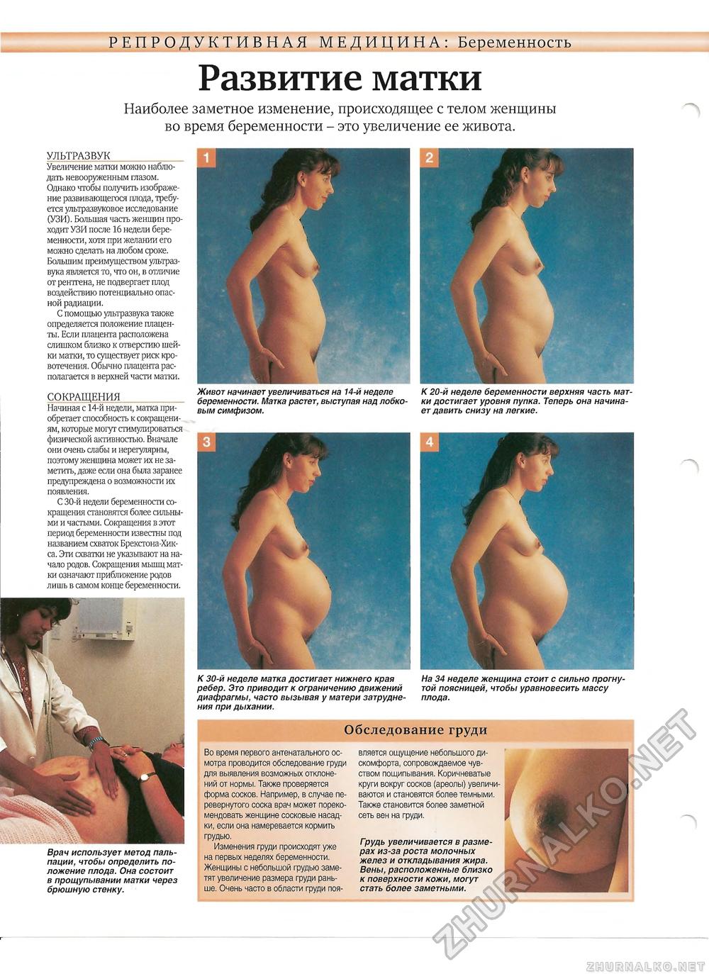 давит на грудь при беременности фото 12