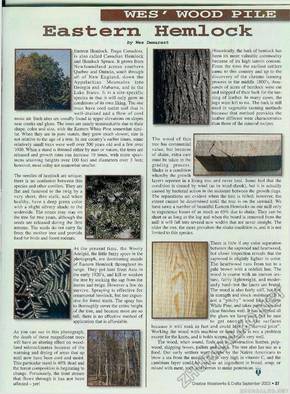 Creative Woodworks & crafts 2003-09,  37