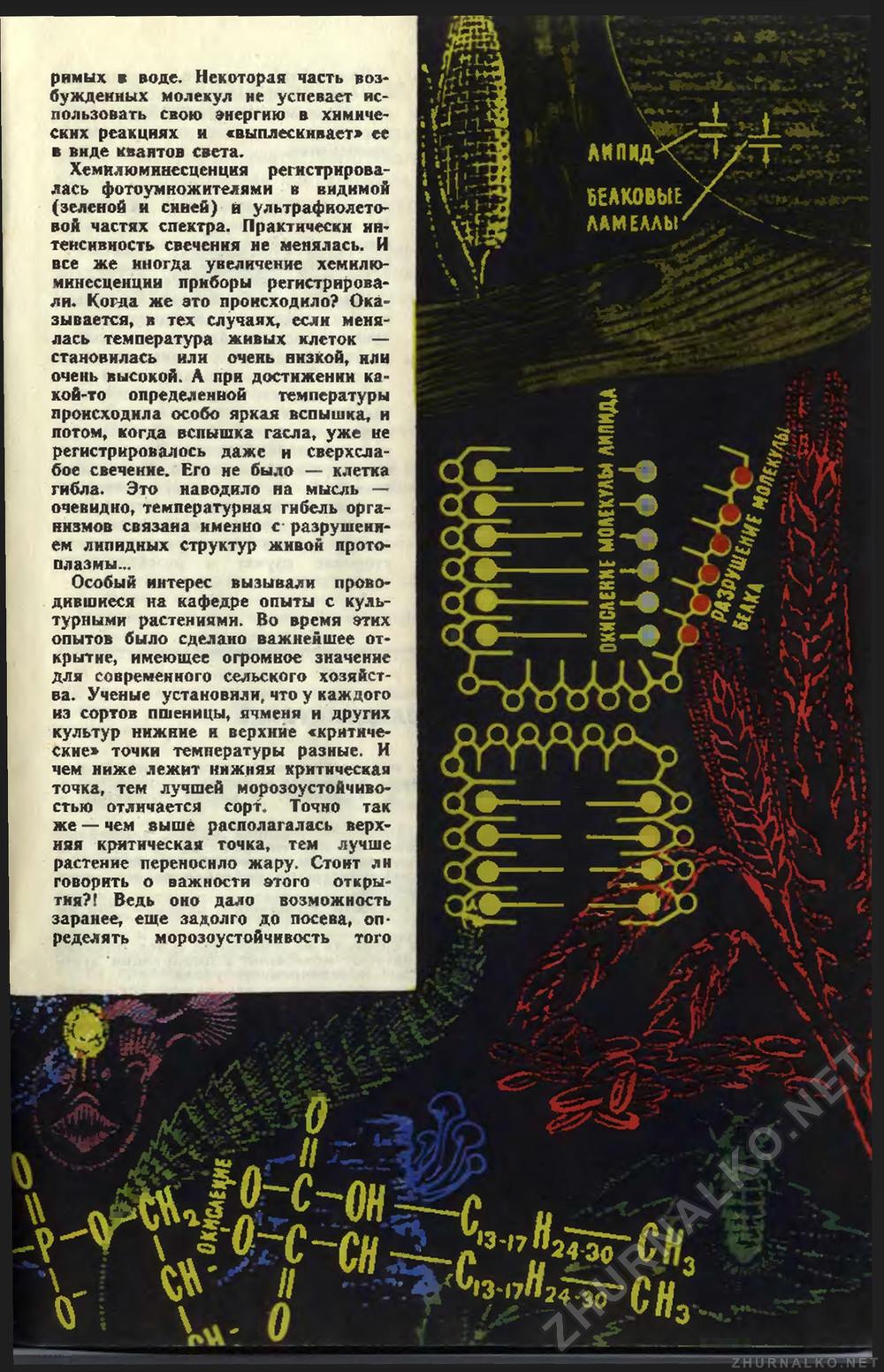 Юный техник 1967-12, страница 34