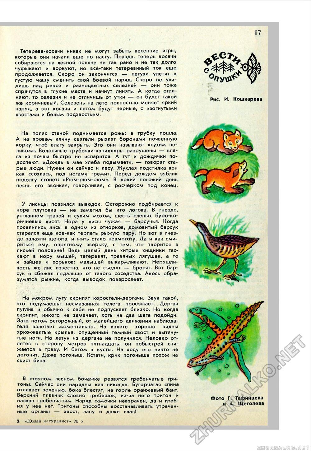 Юный Натуралист 1972-05, страница 19
