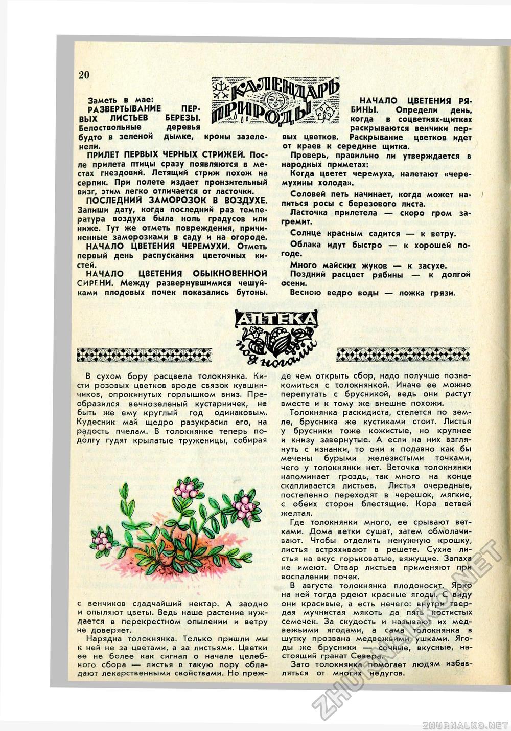 Юный Натуралист 1972-05, страница 22