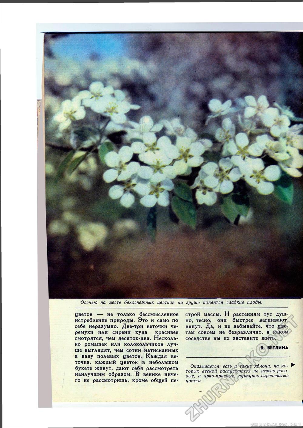 Юный Натуралист 1972-05, страница 28