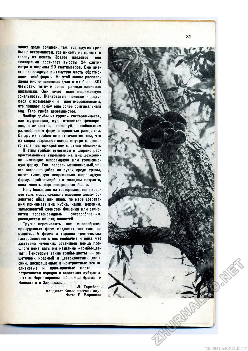 Юный Натуралист 1978-08, страница 32