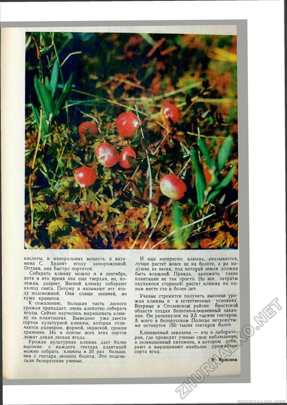 Юный Натуралист 1978-08, страница 36