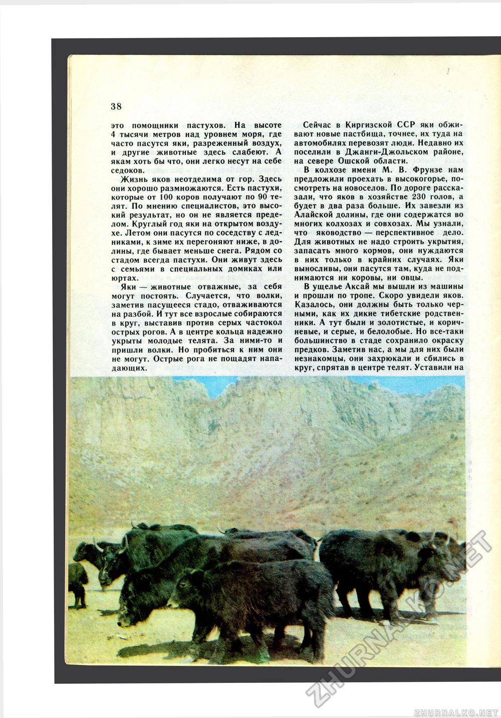 Юный Натуралист 1987-05, страница 40
