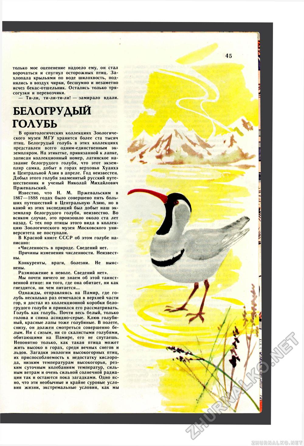 Юный Натуралист 1987-11, страница 47