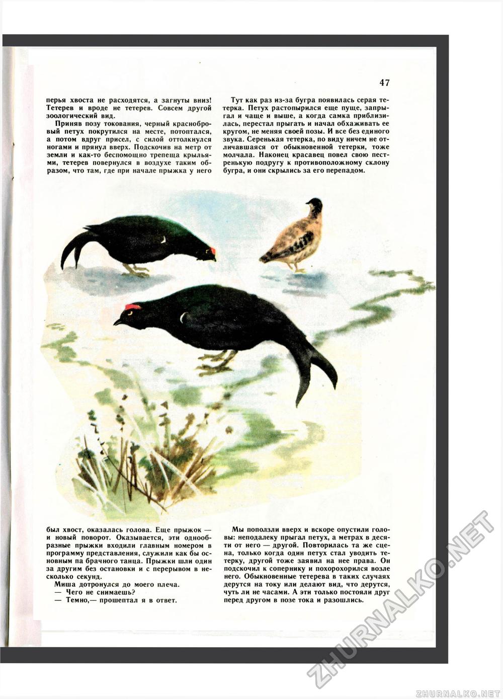 Юный Натуралист 1987-11, страница 49