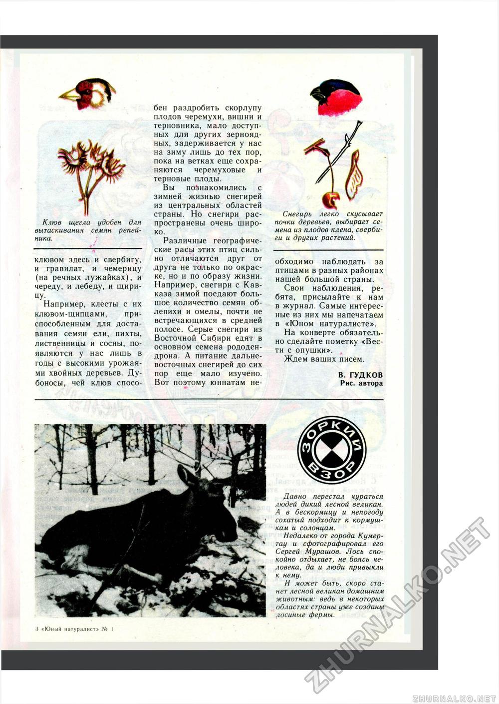 Юный Натуралист 1985-01, страница 18