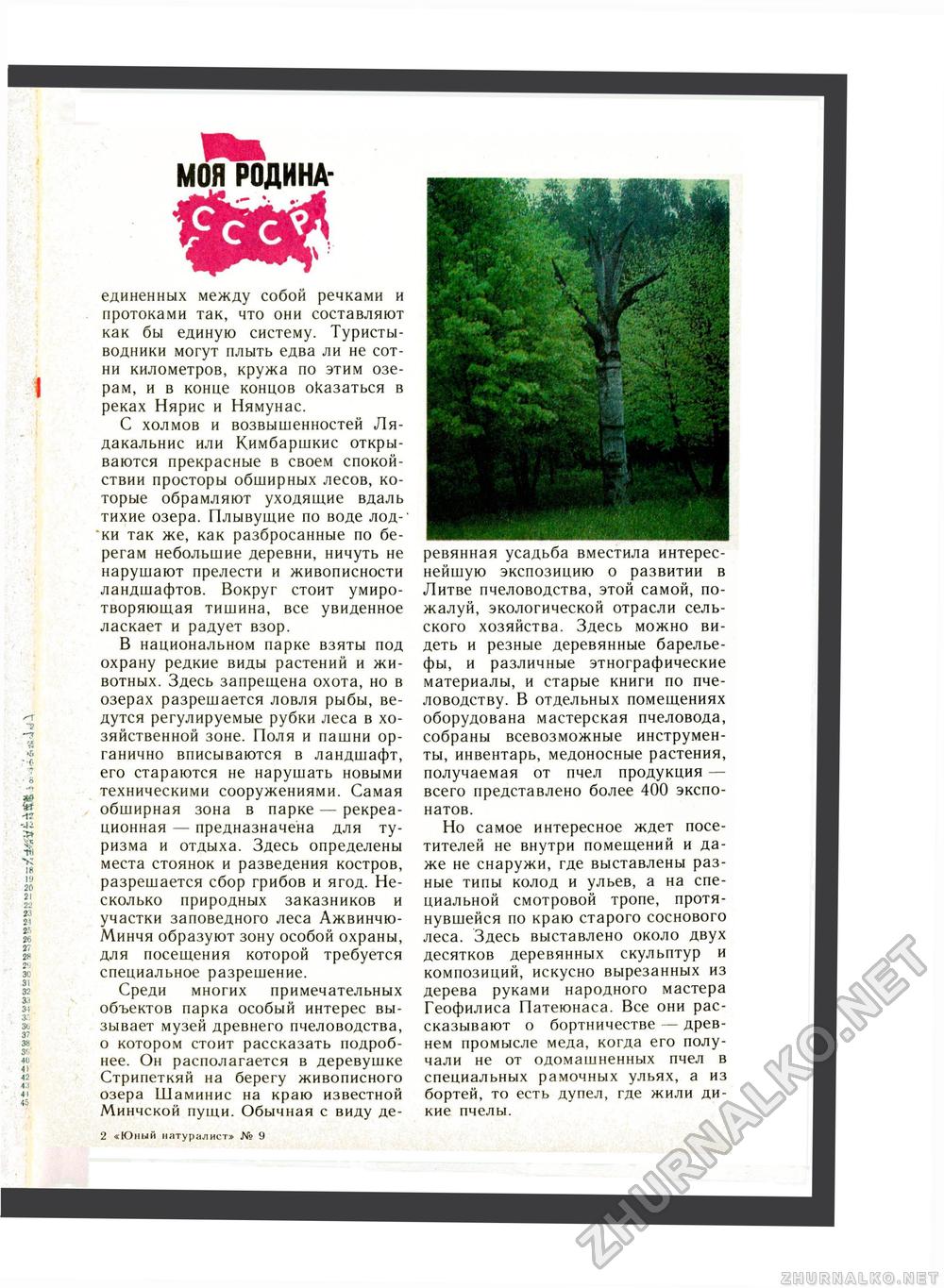 Юный Натуралист 1988-09, страница 11