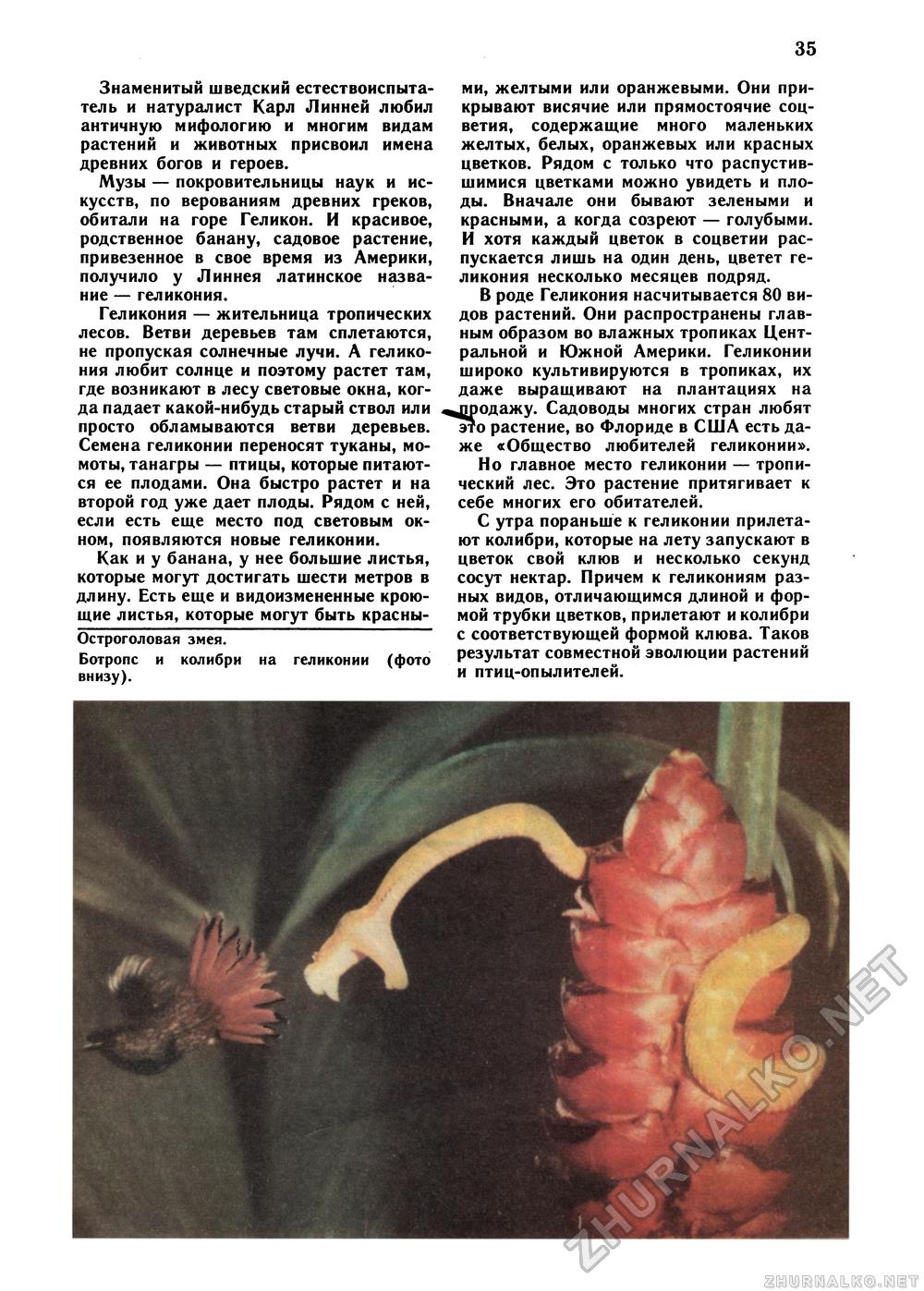 Юный Натуралист 1990-05, страница 35