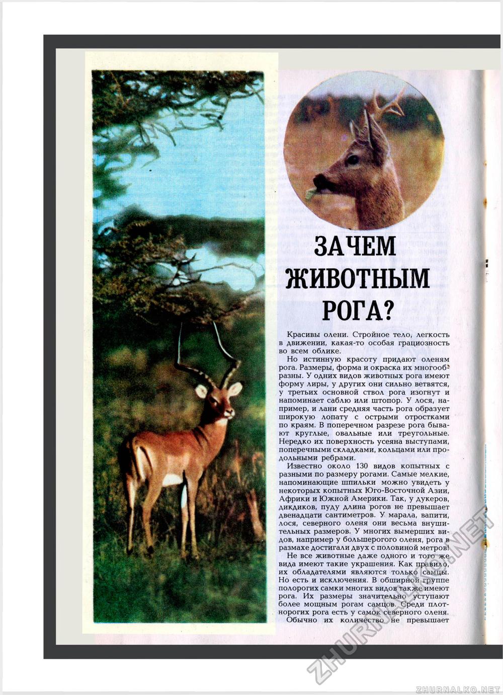 Юный Натуралист 1982-10, страница 18