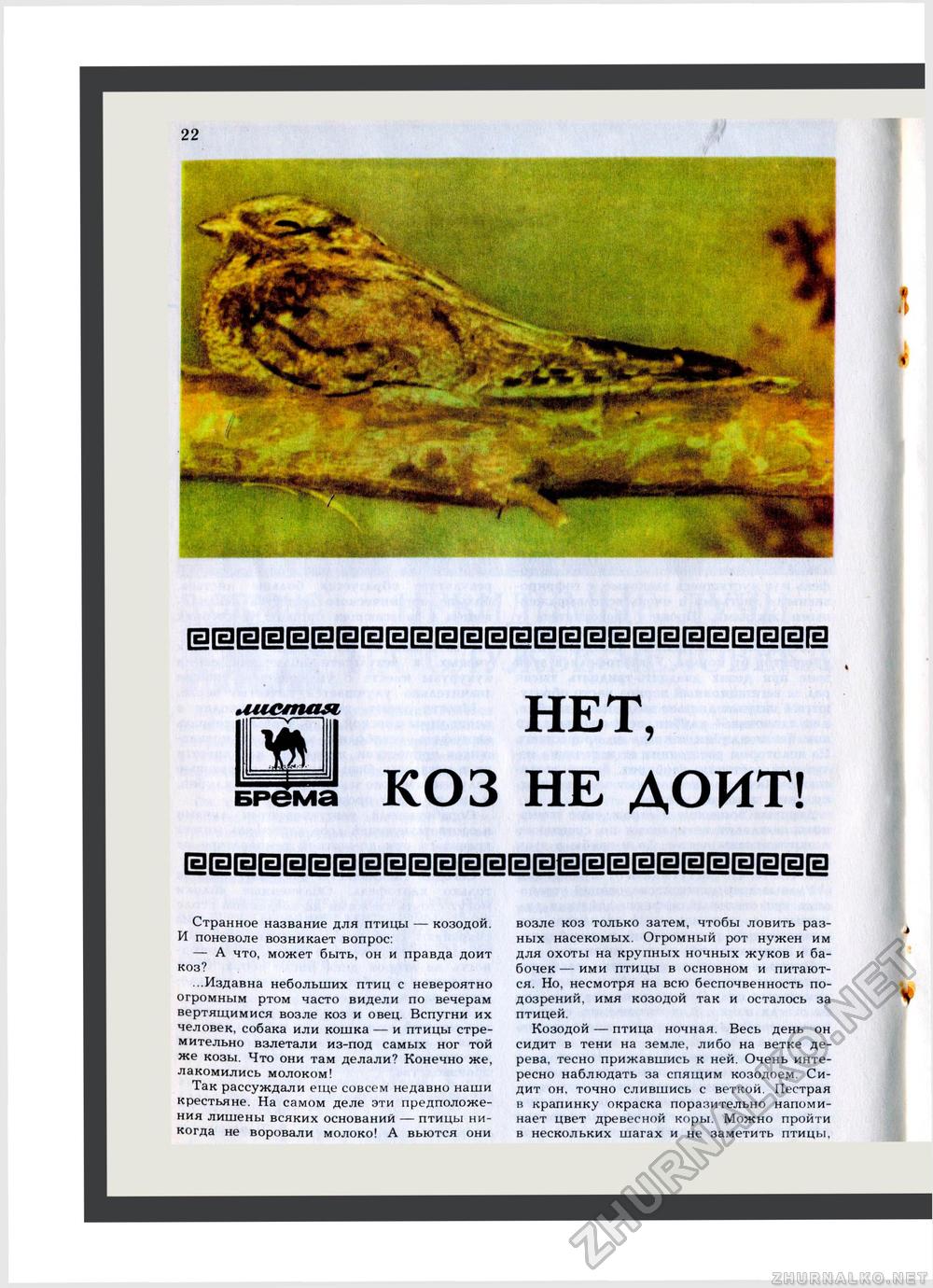 Юный Натуралист 1982-10, страница 24