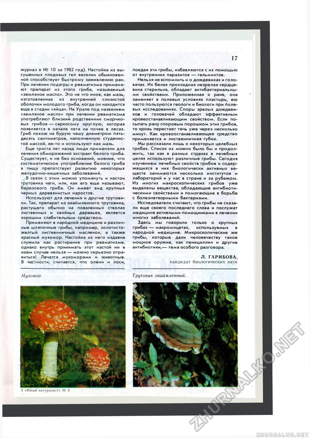 Юный Натуралист 1983-08, страница 19