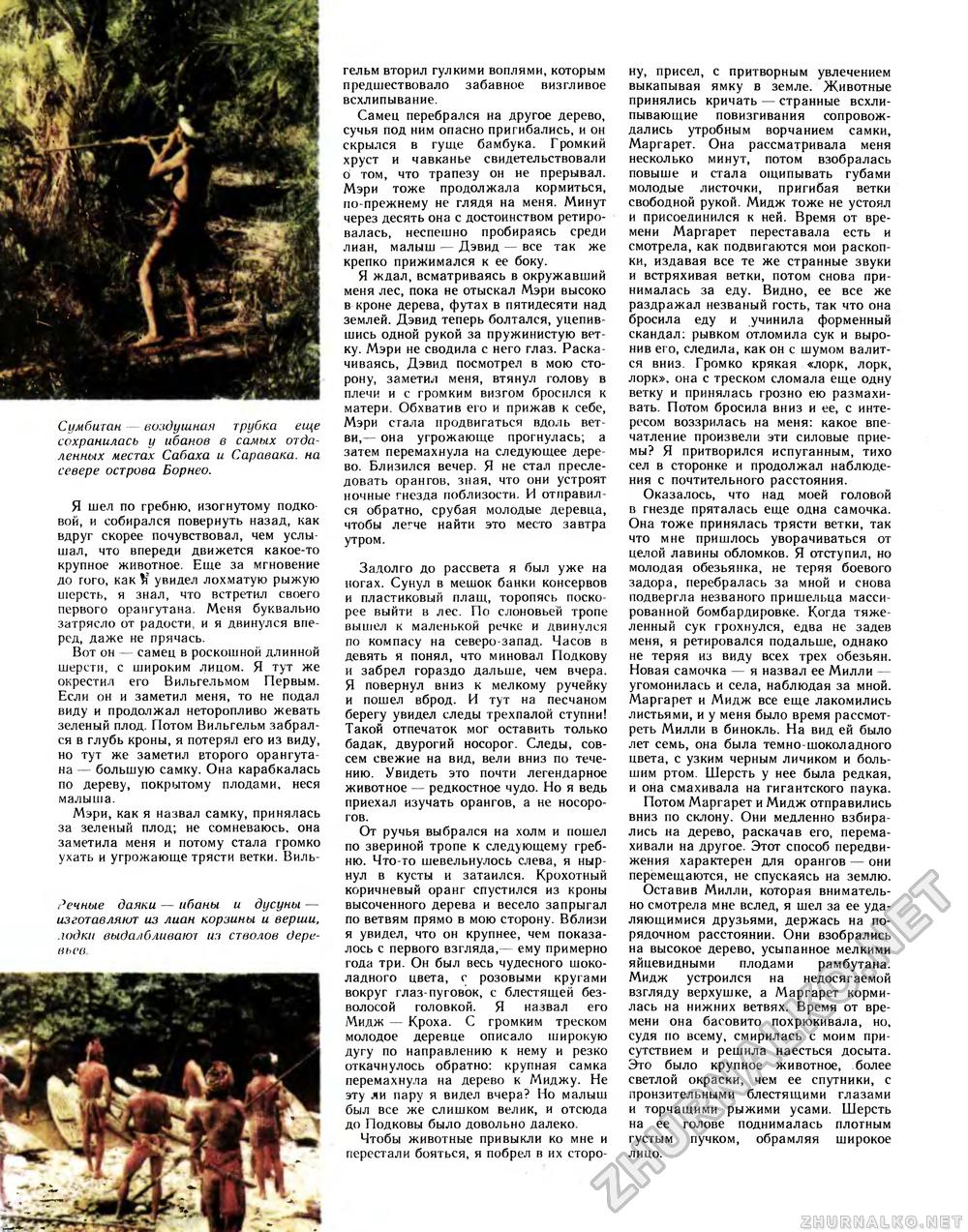 Вокруг света 1984-09, страница 54