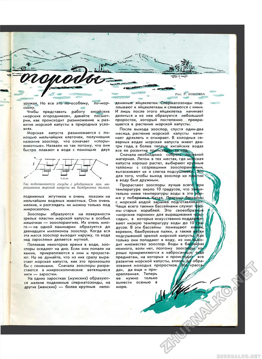 Юный Натуралист 1956-06, страница 13