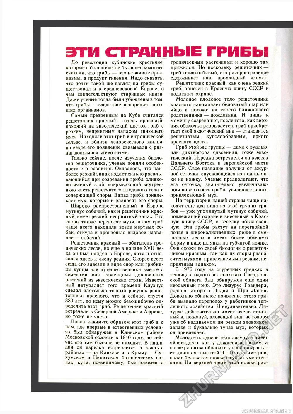 Юный Натуралист 1988-08, страница 35