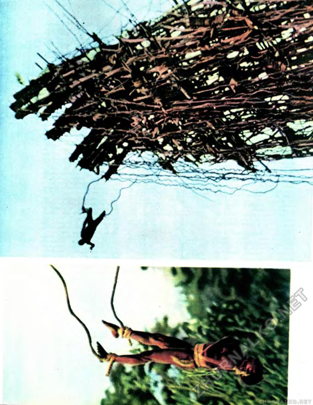 Вокруг света 1971-12, страница 44