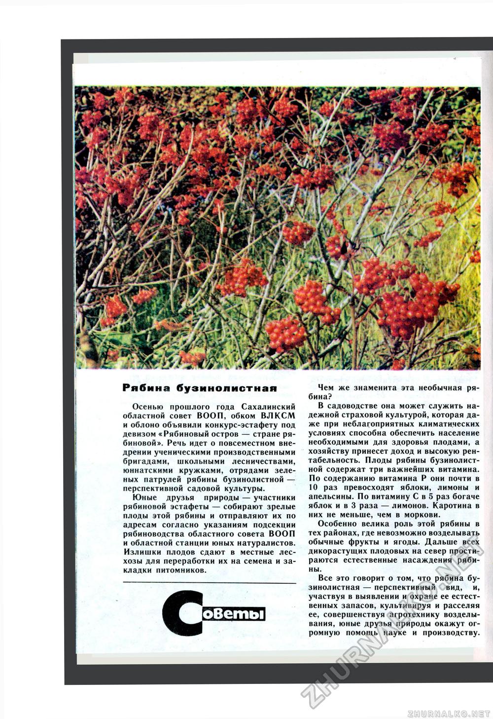 Юный Натуралист 1985-03, страница 42