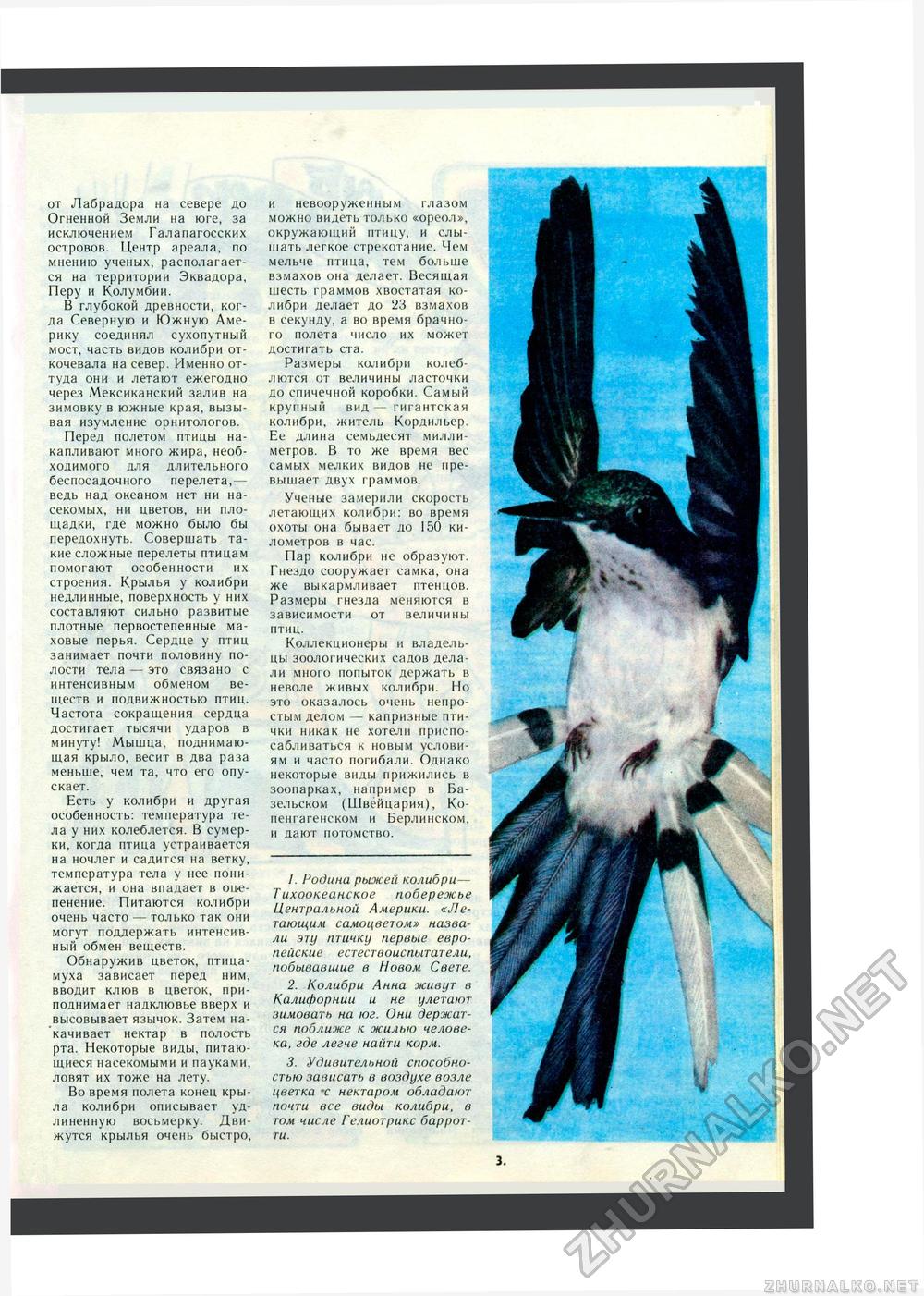 Юный Натуралист 1984-03, страница 33