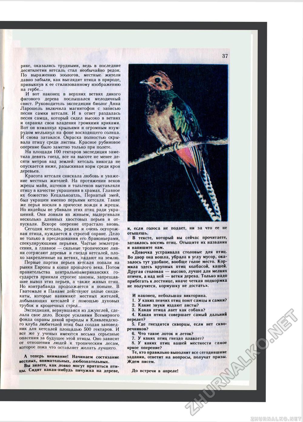 Юный Натуралист 1984-03, страница 39