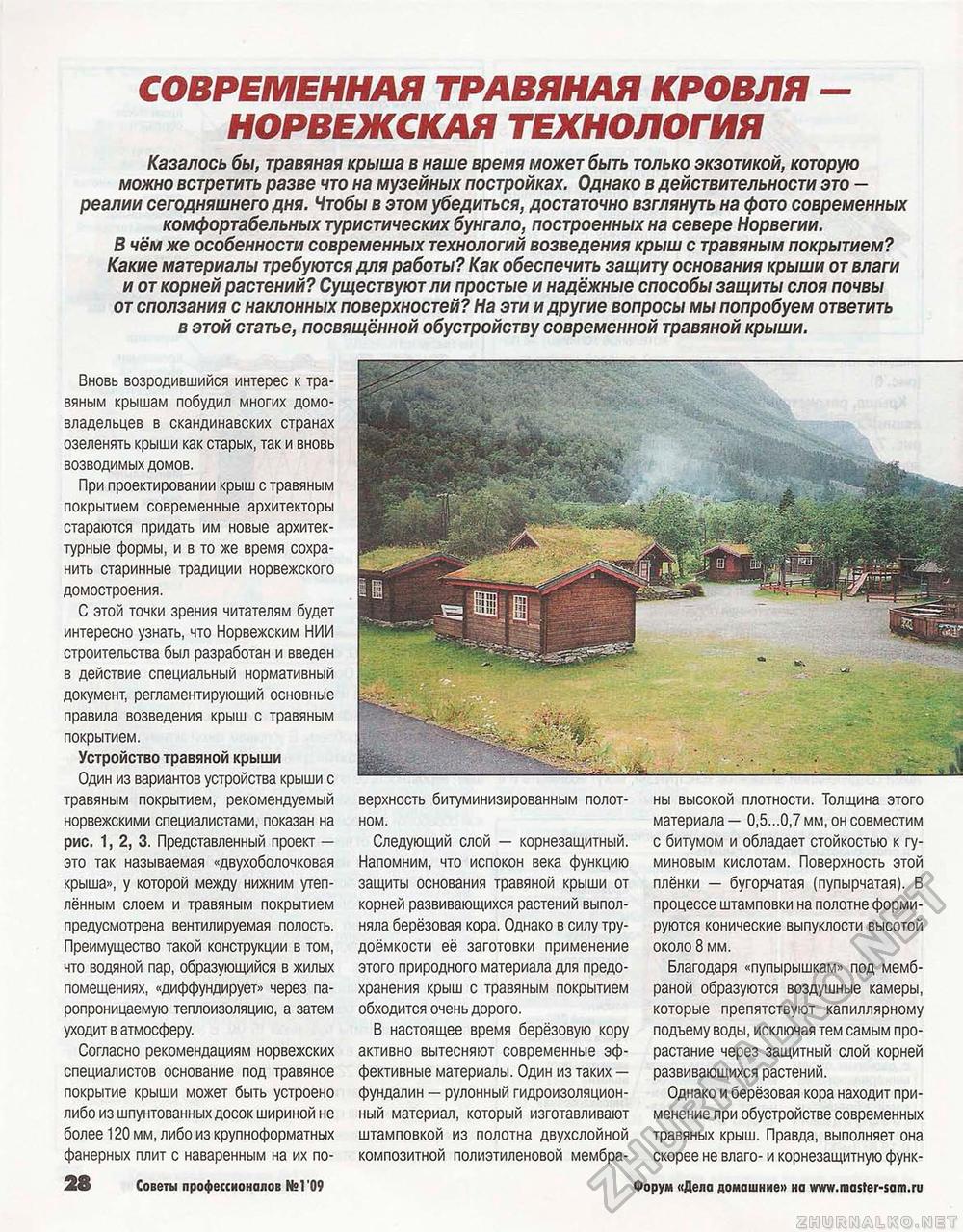 Советы профессионалов 2009-01, страница 28