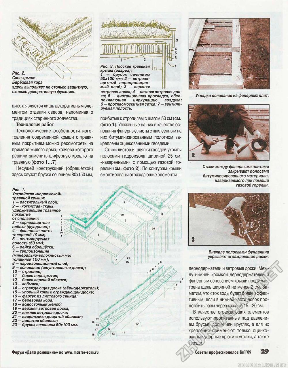 Советы профессионалов 2009-01, страница 29