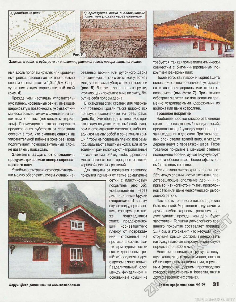 Советы профессионалов 2009-01, страница 31