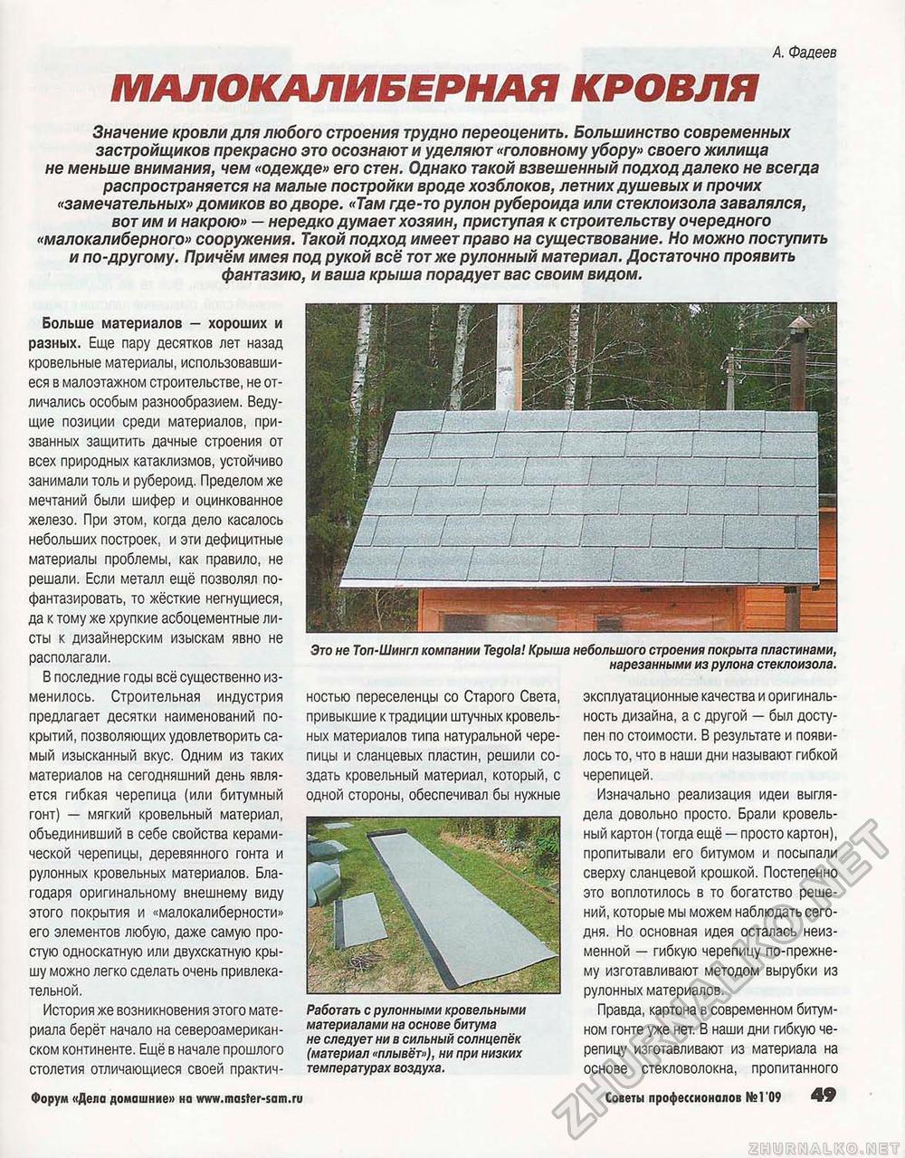 Советы профессионалов 2009-01, страница 49
