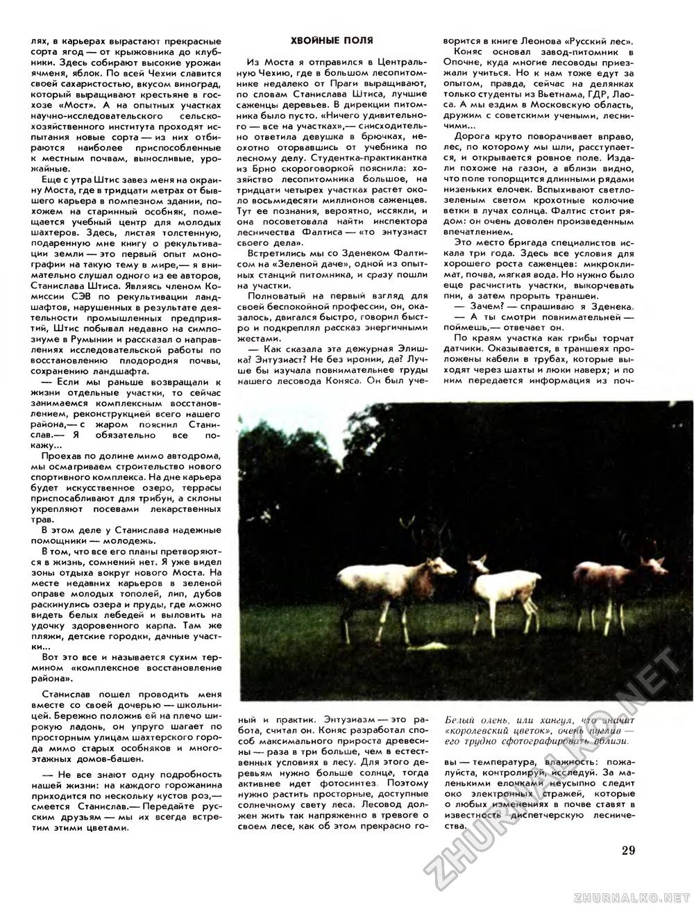 Вокруг света 1985-05, страница 31