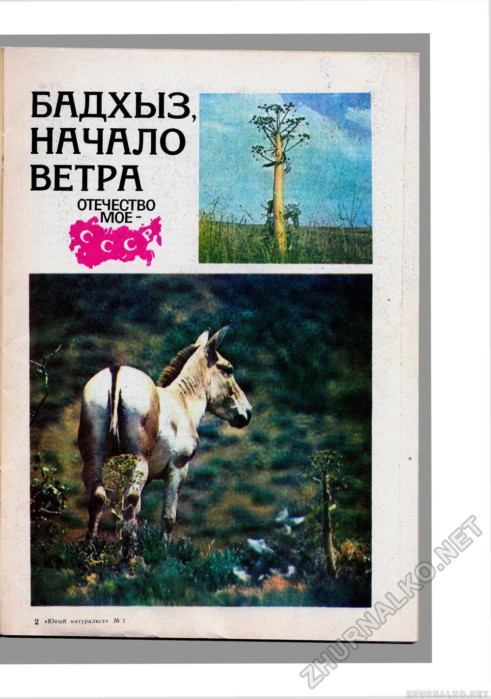 Юный Натуралист 1973-01, страница 9