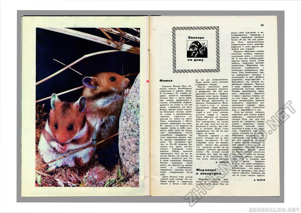Юный Натуралист 1973-01, страница 38