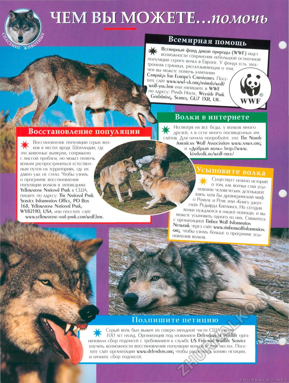 Животные нашей планеты. Часть 25, страница 10