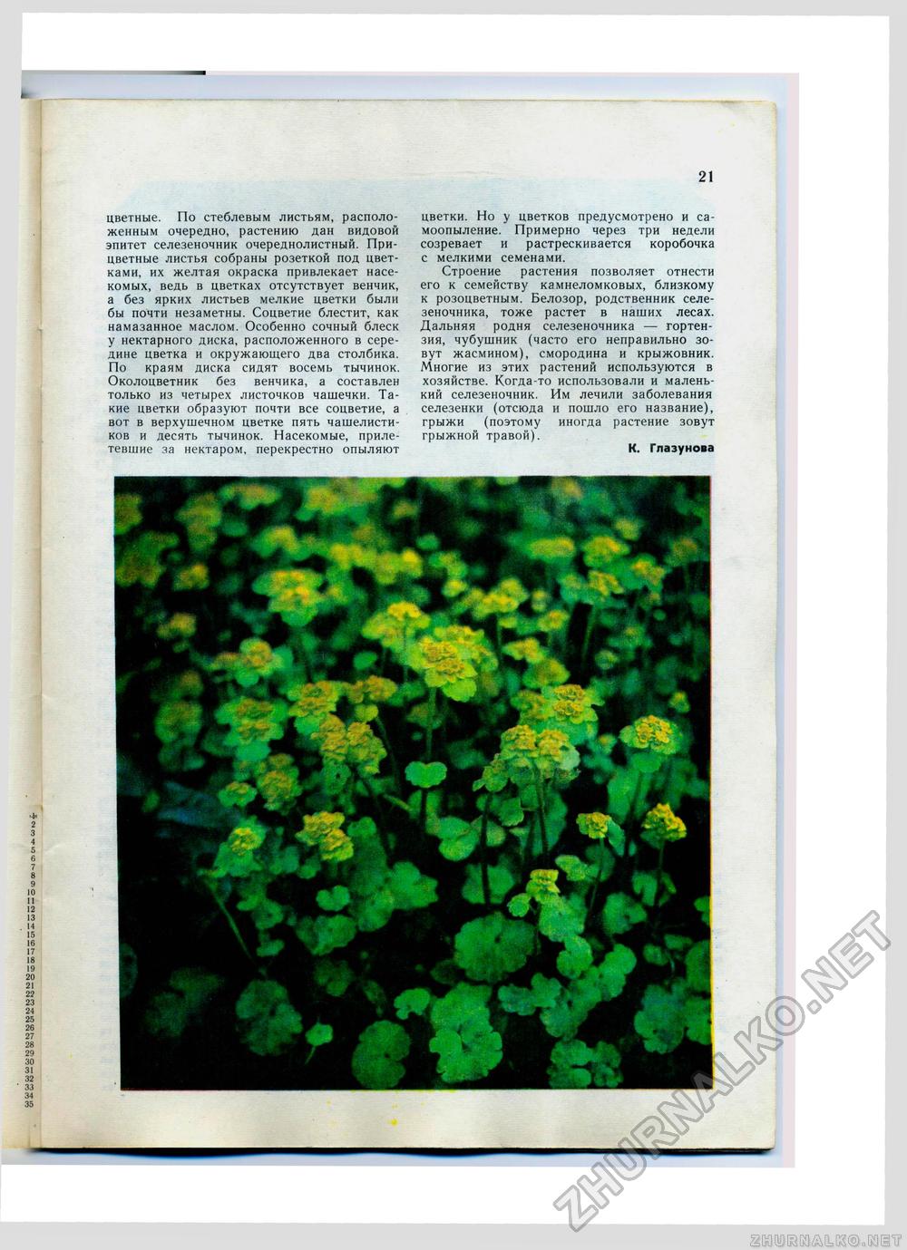 Юный Натуралист 1976-01, страница 23