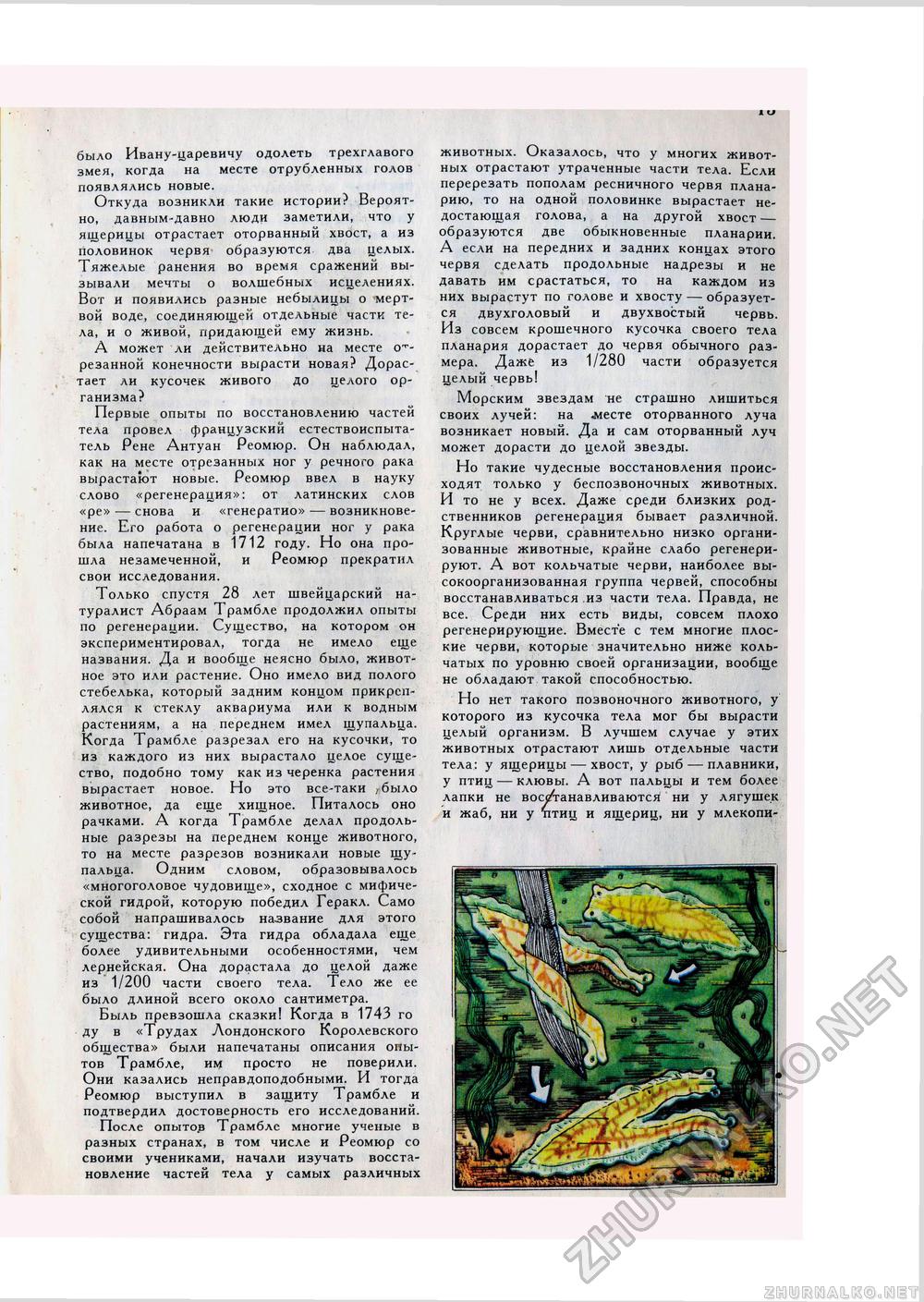 Юный Натуралист 1976-12, страница 15