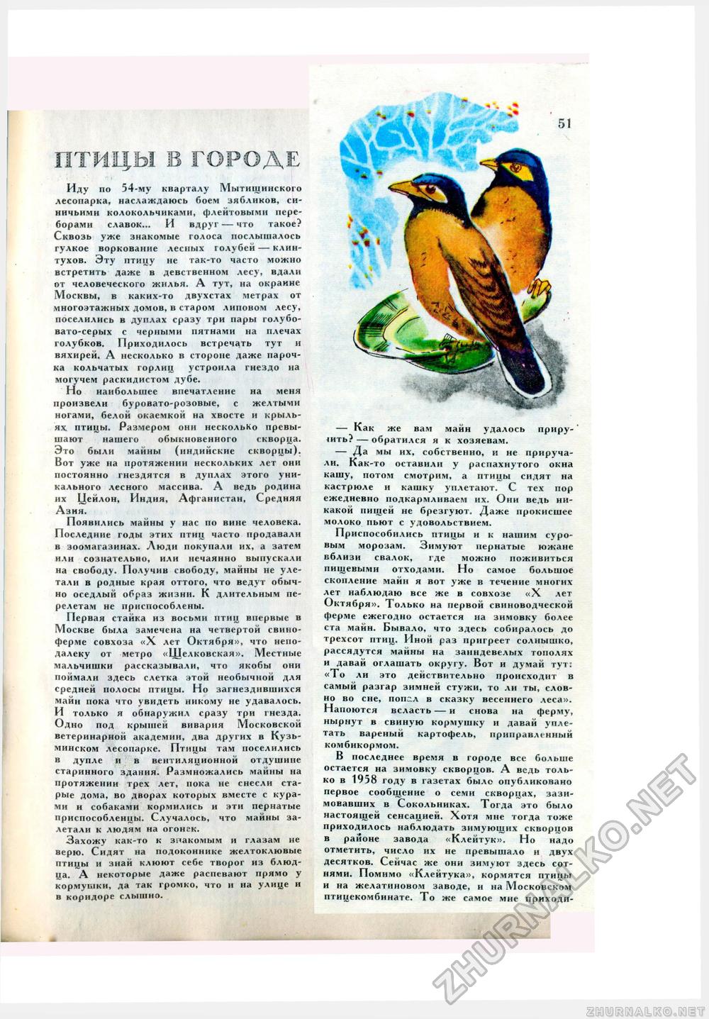 Юный Натуралист 1976-12, страница 53